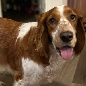 Meet your Posher, Meg